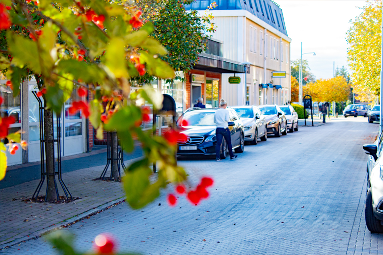 Bilar och rönnbärsträd på torget i Osby