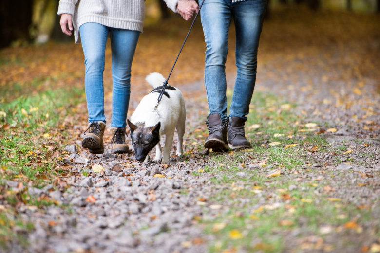 Par promenerar på grusväg med hund