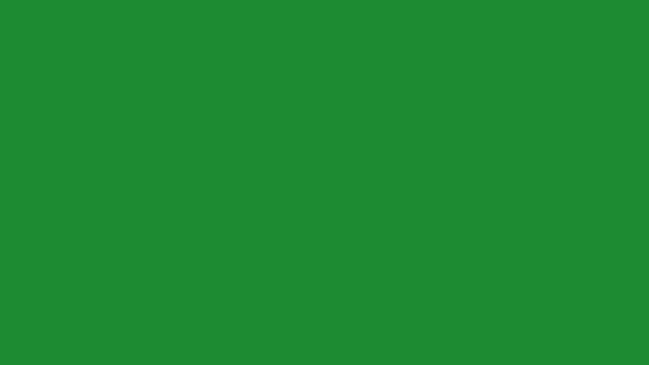 En grön färgplatta