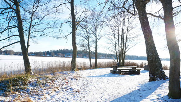 Vinter Osbysjön